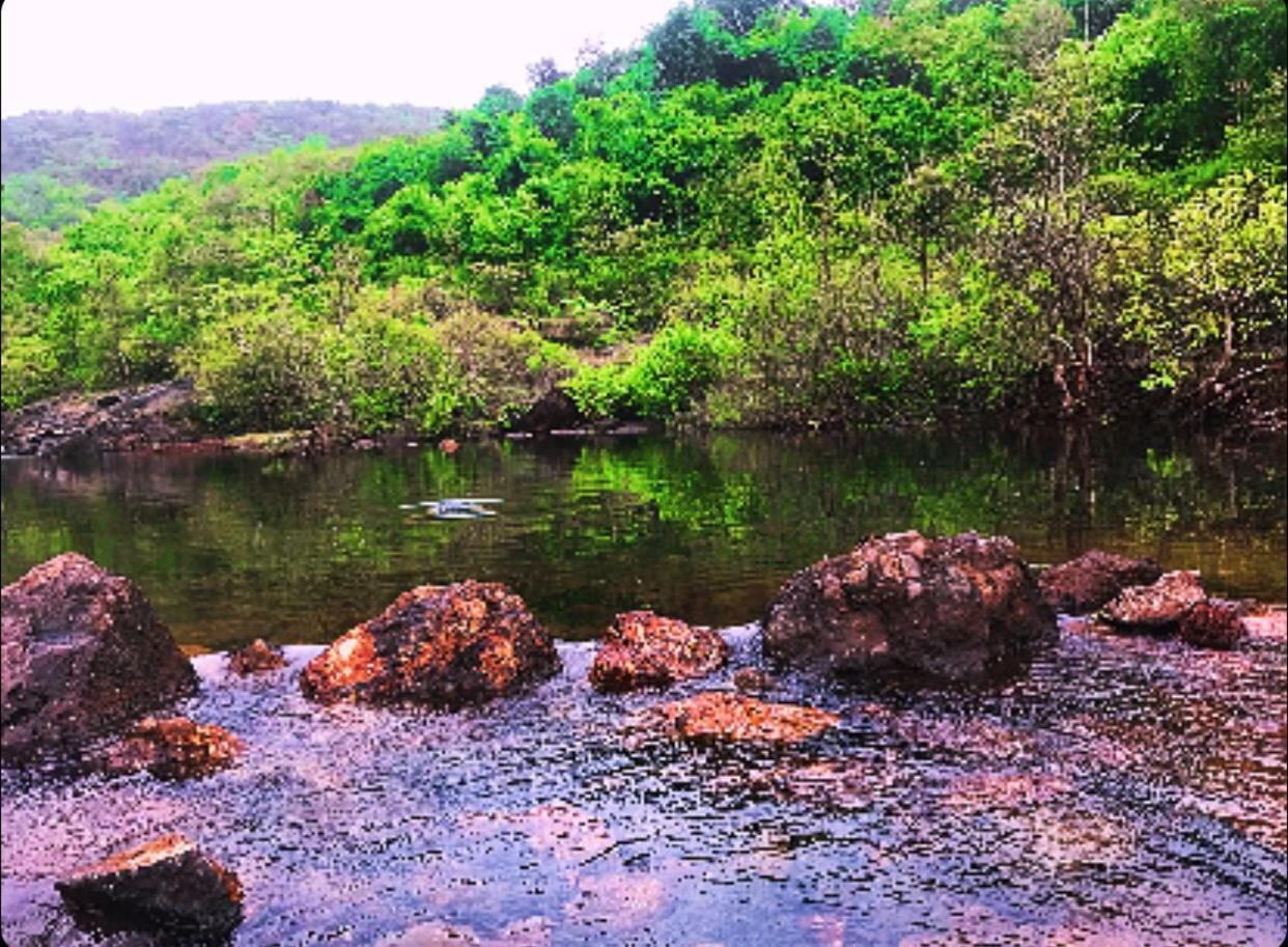 Rohan Homestay By Traviget Hospitality, Dapoli-Konkan Harnai Экстерьер фото